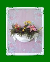 ������������ ����� � �������� �� ����������� Perfect K5004